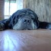 tn_gallery_9603_7_19597.jpg