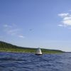 tn_gallery_4953_135_771985.jpg
