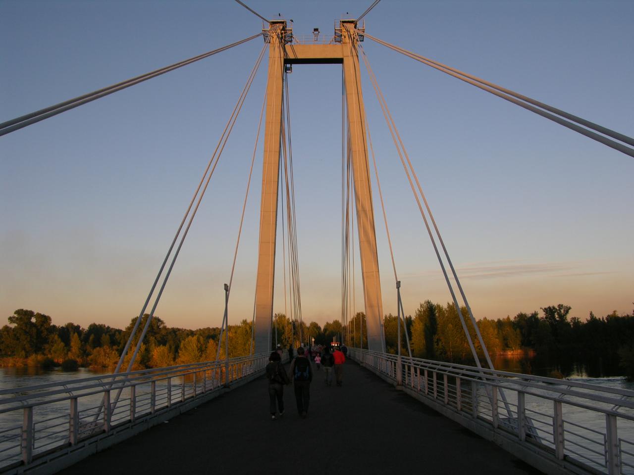 вантовый мост