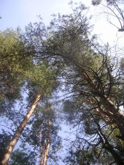 Небо над Белым озером 